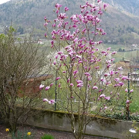Haus Christl Bed & Breakfast Lana